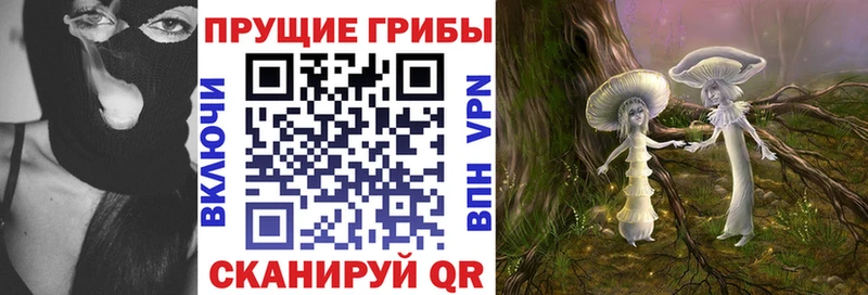 Галлюциногенные грибы Cubensis  OMG сайт  Кубинка 